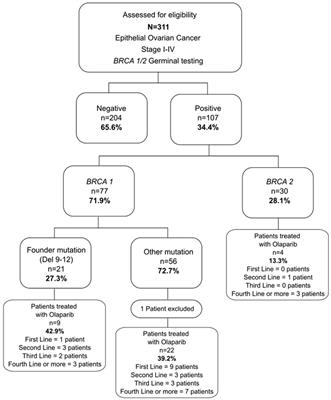 Clinical Benefits of Olaparib in Mexican Ovarian Cancer Patients With Founder Mutation BRCA1-Del ex9-12